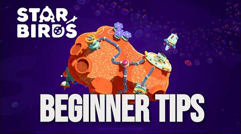 10 Beginner Tips For Star Birds