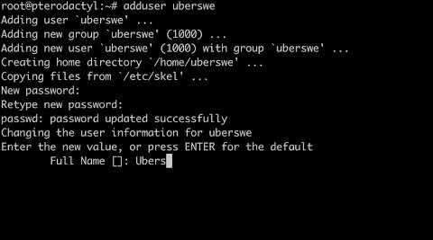 How To Create A Sudo User On Linux
